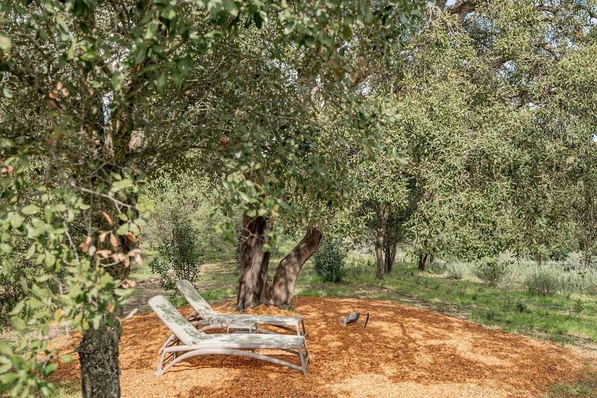 Villa Nuova Di Design Con Piscina Privata San Pantaleo
